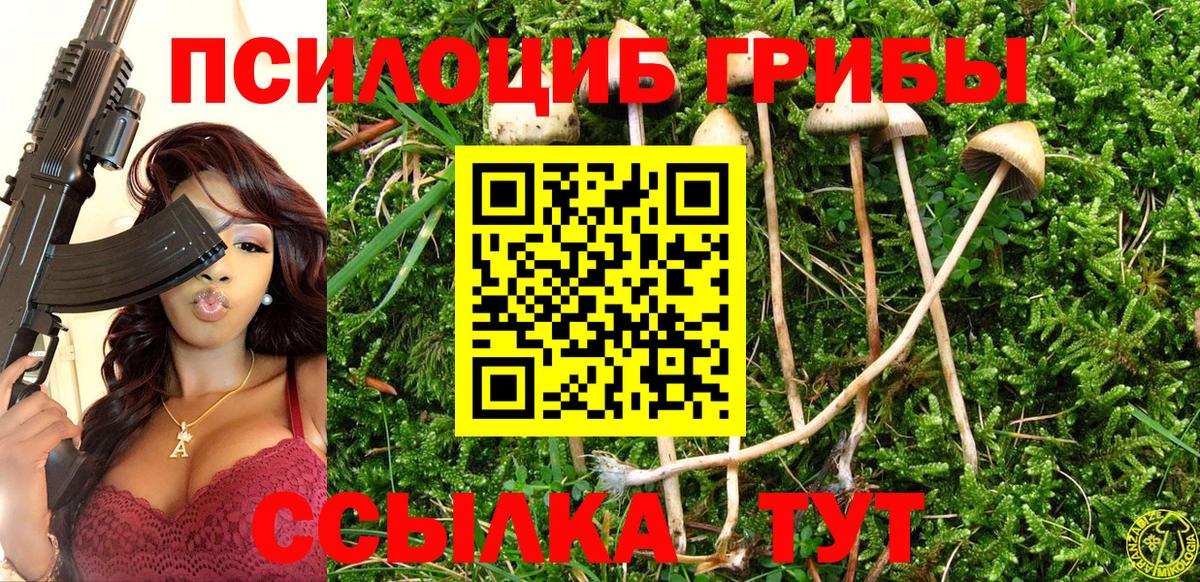 Галлюциногенные грибы Magic Shrooms Симферополь