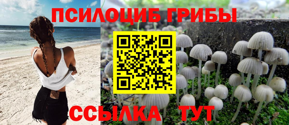 Псилоцибиновые грибы Magic Shrooms  Вход с VPN  Симферополь  Галлюциногенные грибы MAGIC MUSHROOMS 